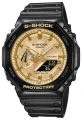 GA-2100GB-1AER.webp