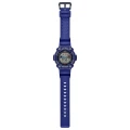 WS-1300H-2AVEF 2.webp