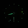 T2N721.jpg