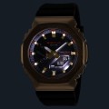 GBM-2100CX -9AER 4.jpg