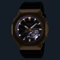 GBM-2100CX -9AER 4.jpg