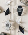 DW-6900RGM.jpg